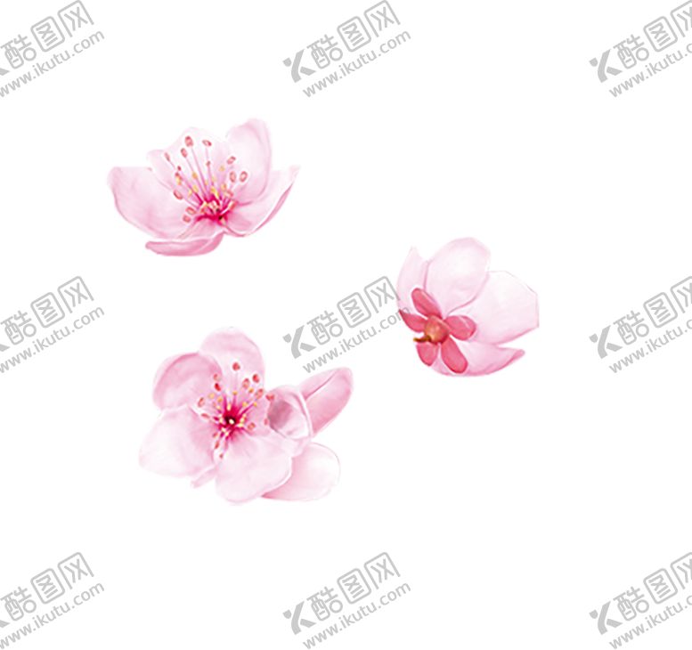 编号：63101101261043549630【酷图网】源文件下载-桃花