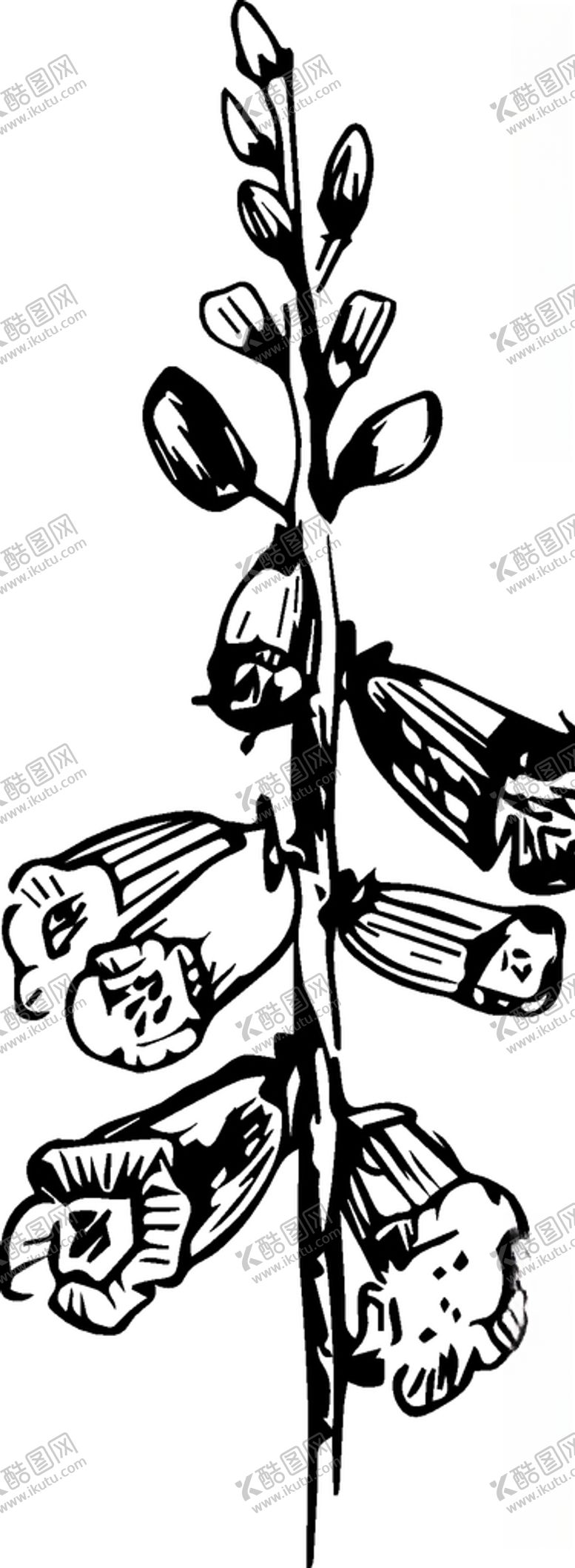 编号：70094205111647078986【酷图网】源文件下载-手绘清新植物