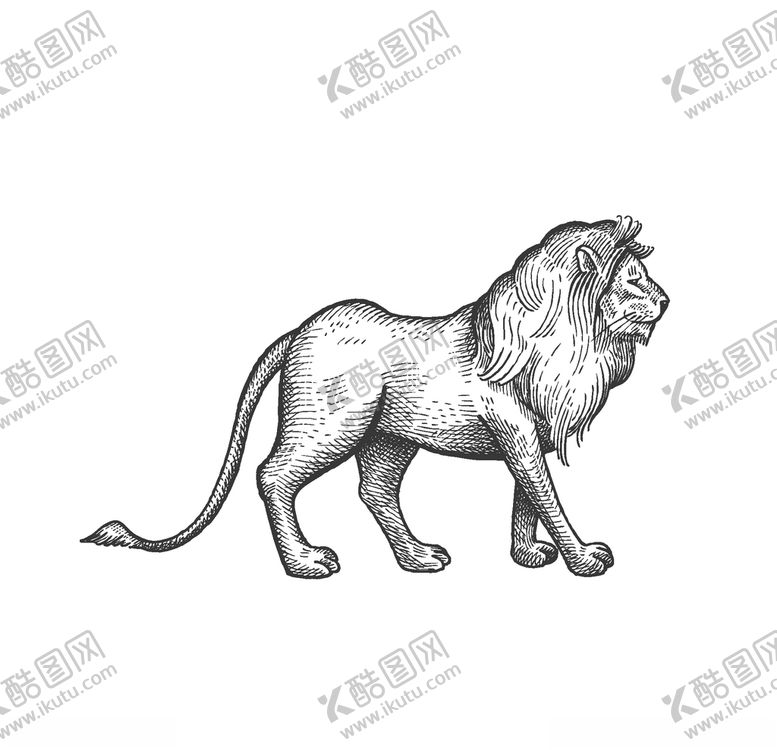 编号：38961407130918007132【酷图网】源文件下载-狮子