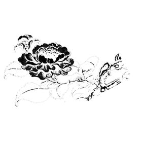 菊花装饰