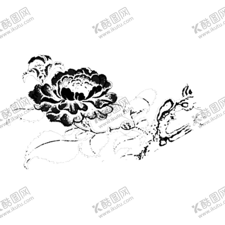 编号：61023905141920433417【酷图网】源文件下载-菊花装饰