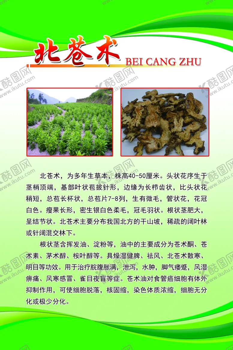 编号：82193005062208444534【酷图网】源文件下载-北苍术