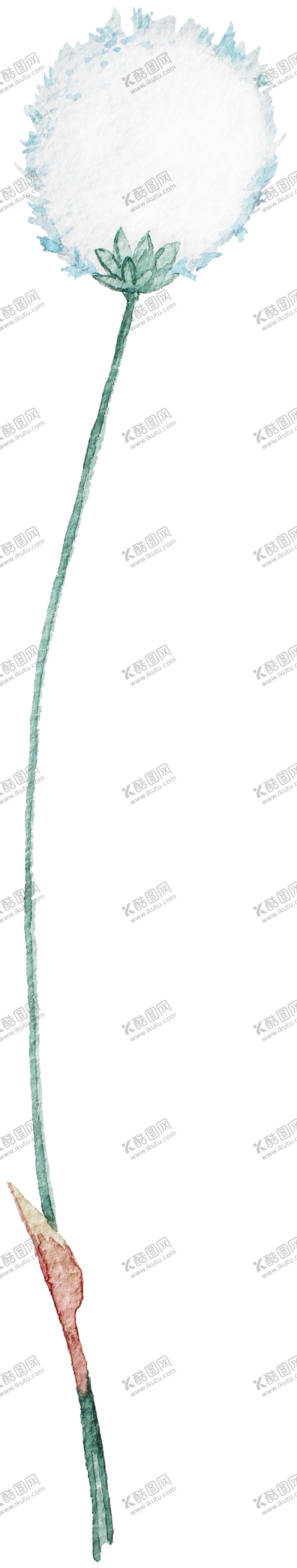 编号：74556409192012102848【酷图网】源文件下载-手绘植物