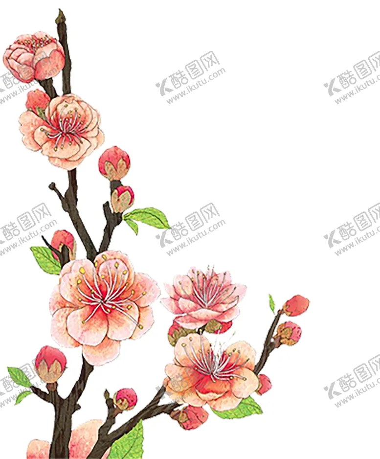 编号：73455701141341135976【酷图网】源文件下载-花朵 