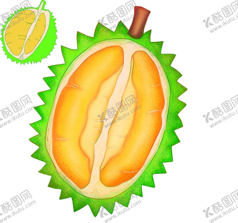 编号：74004910051946357968【酷图网】源文件下载-榴莲插画矢量