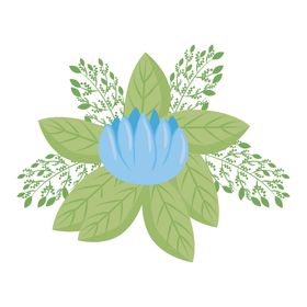 淡彩花朵卉手绘草