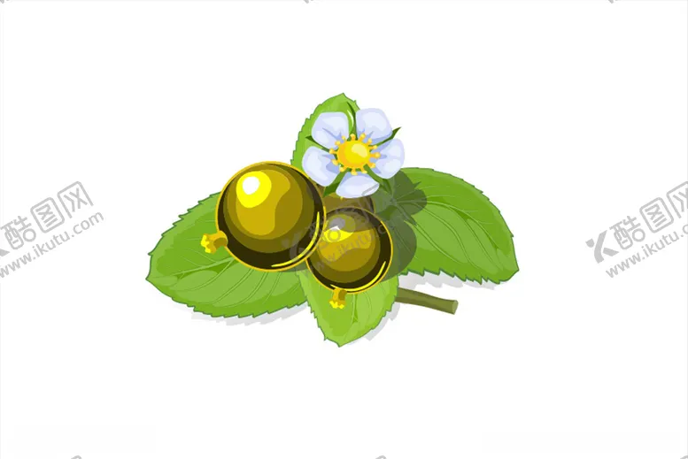 编号：72775204200522593689【酷图网】源文件下载-菜金丹植物