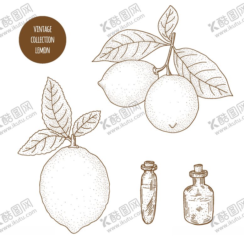 编号：21457210250808104555【酷图网】源文件下载-植物线稿