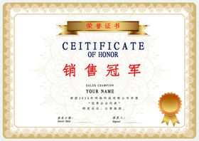 企业销售冠军荣誉证书