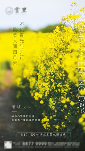 清明节刷屏