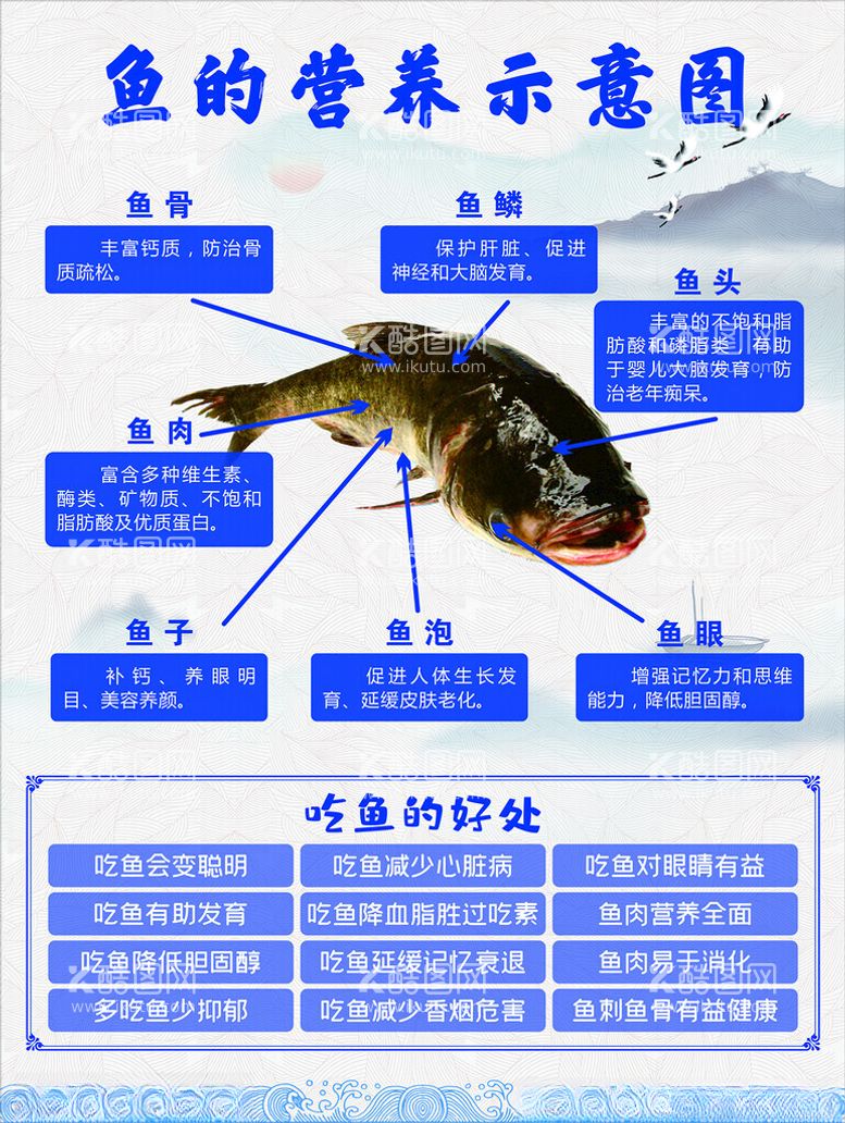 编号：12569912251637095820【酷图网】源文件下载-鱼的营养