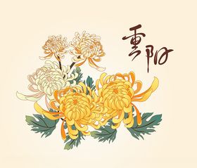 菊花底纹矢量素材