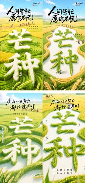 医美整形芒种节气海报