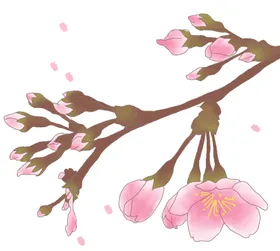 手绘粉色桃花免扣素材图片林水彩国画朵