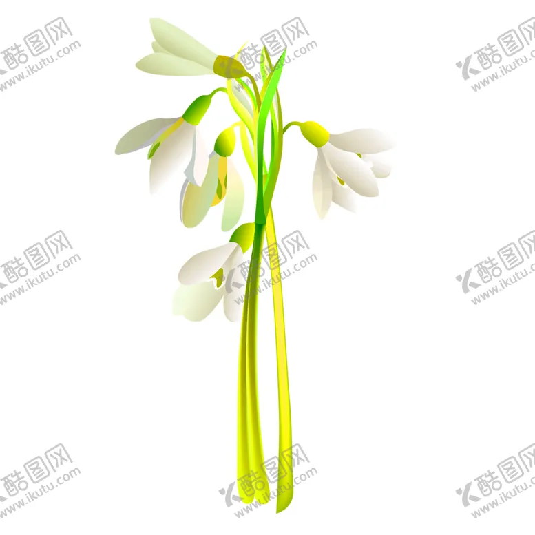 编号：39301506251326243884【酷图网】源文件下载-花素材