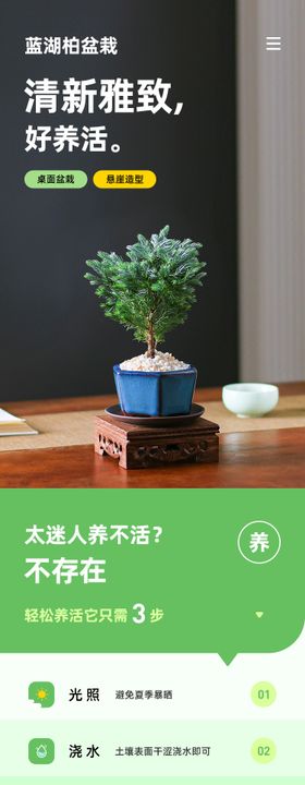 植物绿植盆栽电商淘宝详情设计