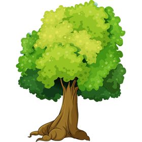 绿色植物