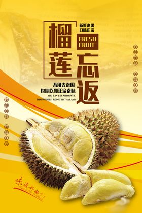 榴莲忘返美味榴莲果肉