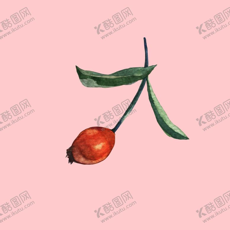 编号：94991810250513295154【酷图网】源文件下载-水彩植物