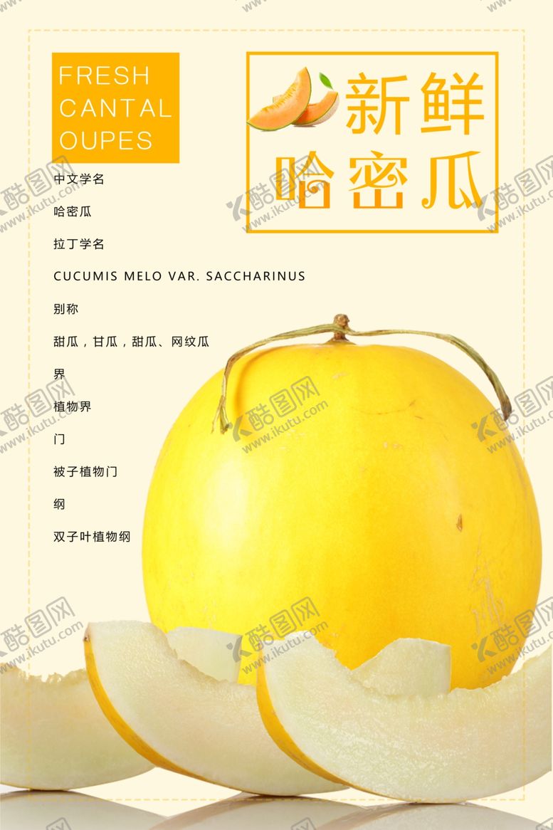 编号：53522705132321491729【酷图网】源文件下载-新鲜哈密瓜