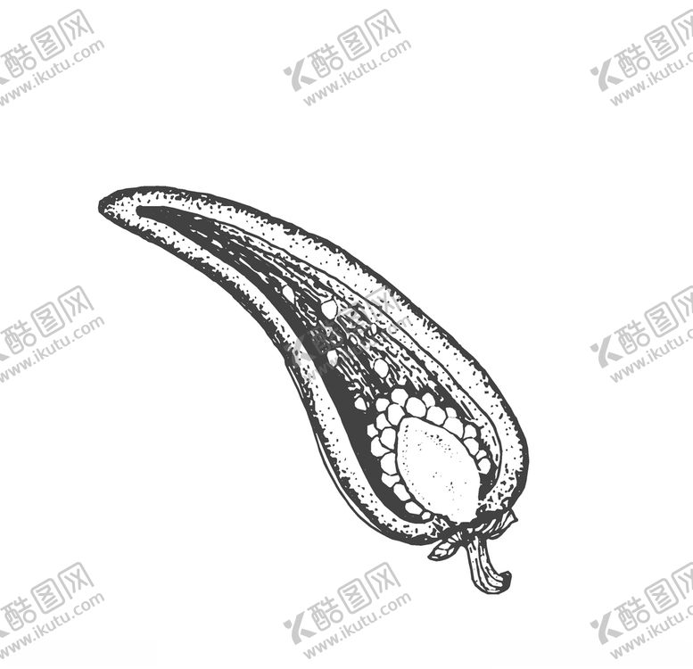 编号：12605310220221176920【酷图网】源文件下载-蔬菜