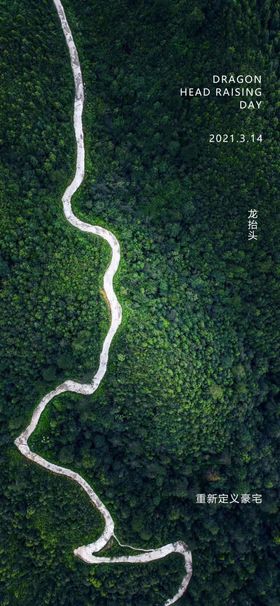 龙抬头海报传统信仰剪发