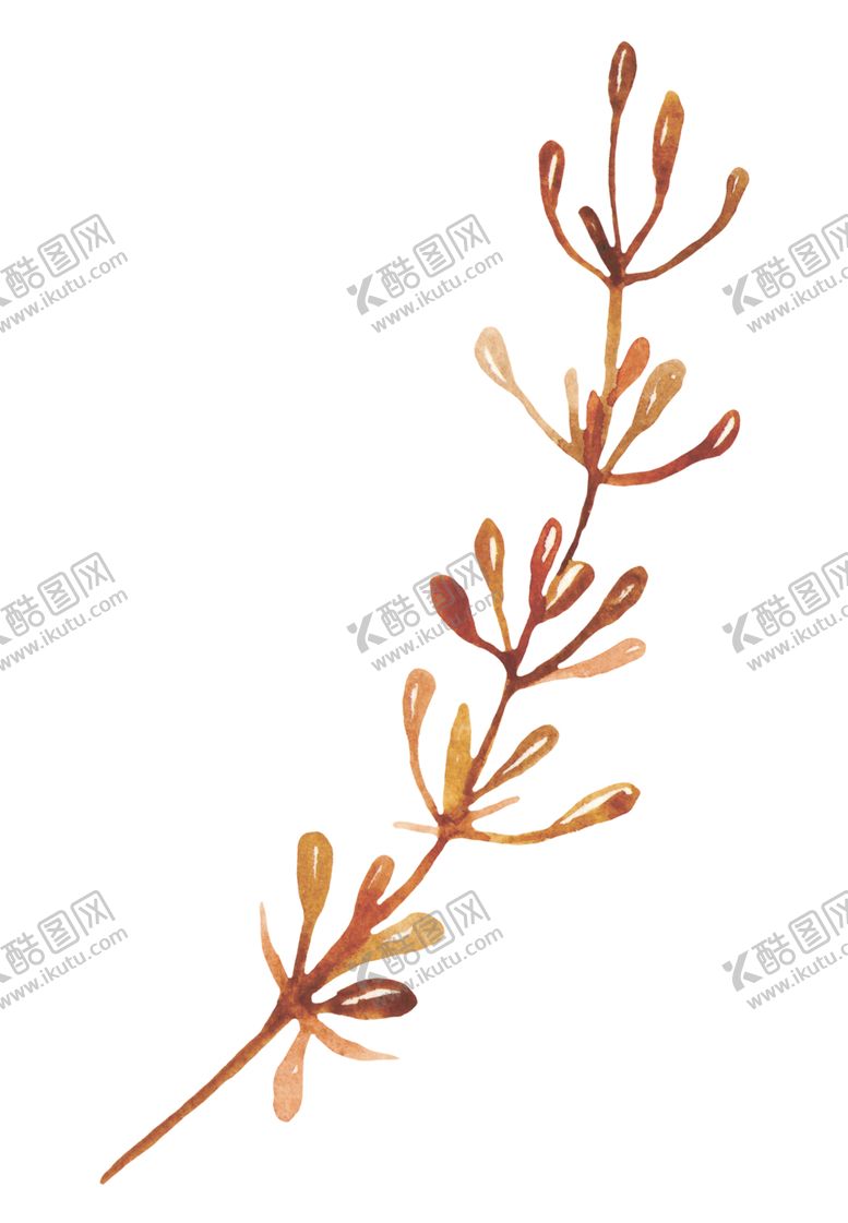 编号：18125410021014286282【酷图网】源文件下载-秋天水彩插画森林元素