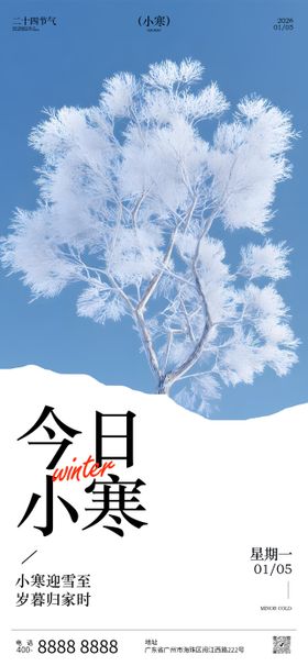 小寒节气海报
