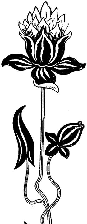 花纹边框