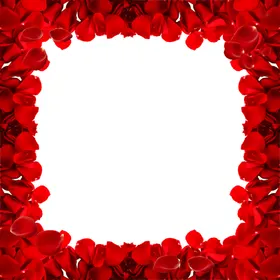 玫瑰花装饰素材