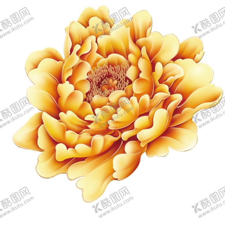 编号：82678506250950343174【酷图网】源文件下载-牡丹花