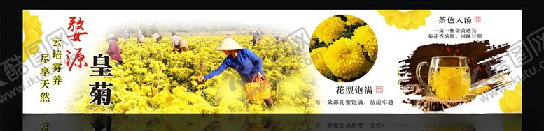 编号：11091206151229155676【酷图网】源文件下载-皇菊宣传画