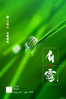 白露秋分露珠枫叶系列海报