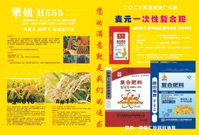 玉米种子宣传单