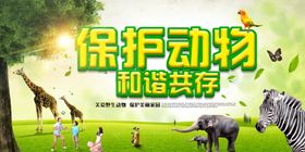 保护野生动物禁食宣传海报禁吃