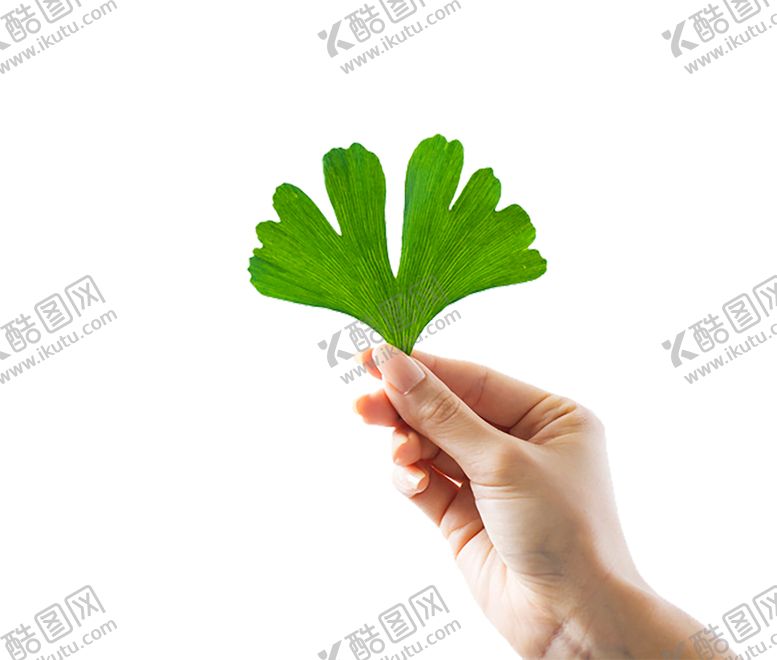 编号：94194607010242397375【酷图网】源文件下载-植物