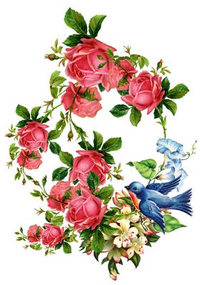 中国古风传统花鸟画