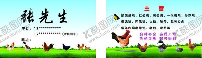 编号：81385602211200401327【酷图网】源文件下载-养鸡场名片