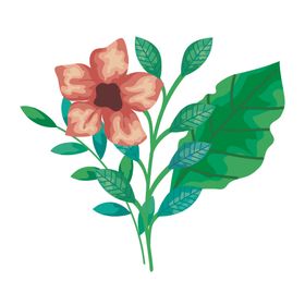 矢量手绘花朵