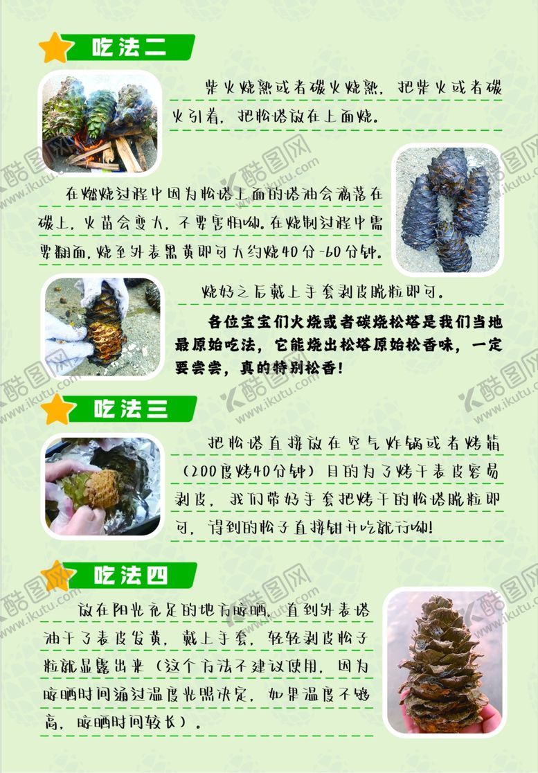 编号：17093210062208058523【酷图网】源文件下载-松塔食用方法