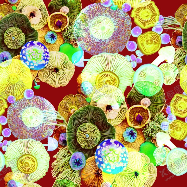 编号：65380410102312219369【酷图网】源文件下载-蘑菇背景数码印花服装花