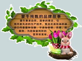 蒙牛纯甄的品牌故事