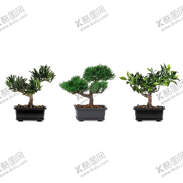 编号：29556107011301176938【酷图网】源文件下载-绿色装饰