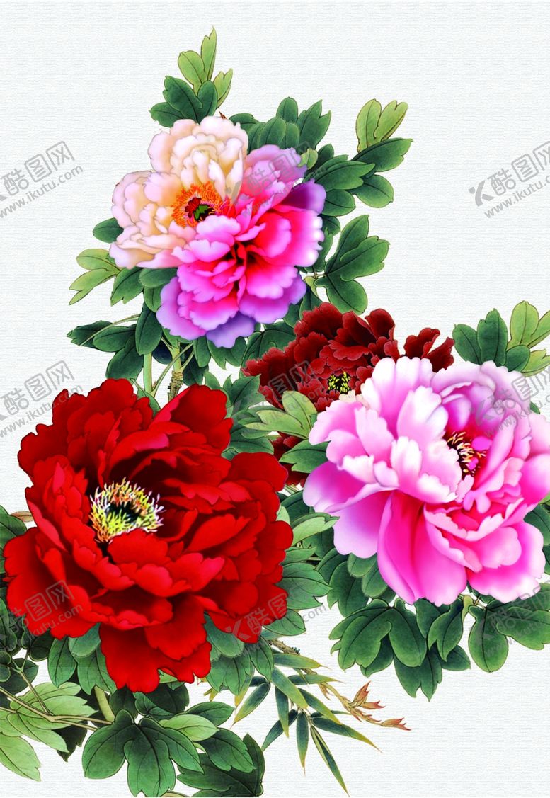 编号：86115610030025422867【酷图网】源文件下载-牡丹花