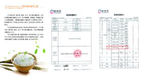 沙漠水稻