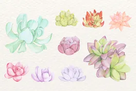 花朵素材环碎