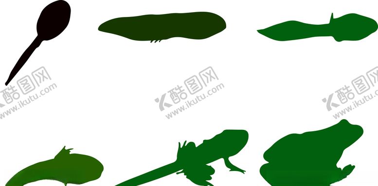 编号：87961310251802238756【酷图网】源文件下载-蝌蚪素材