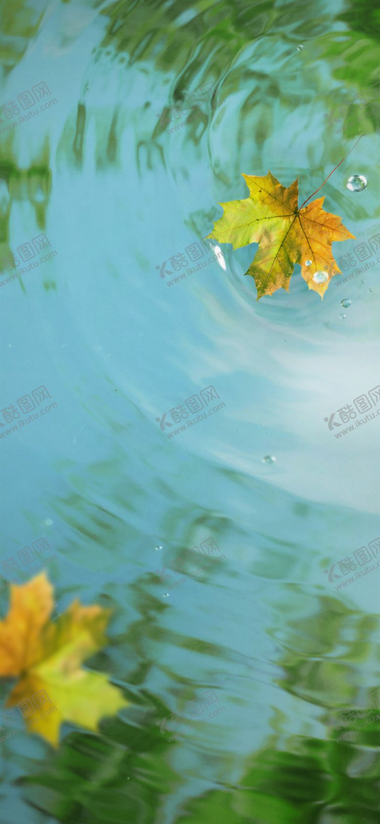 编号：11645307031033192306【酷图网】源文件下载-秋天