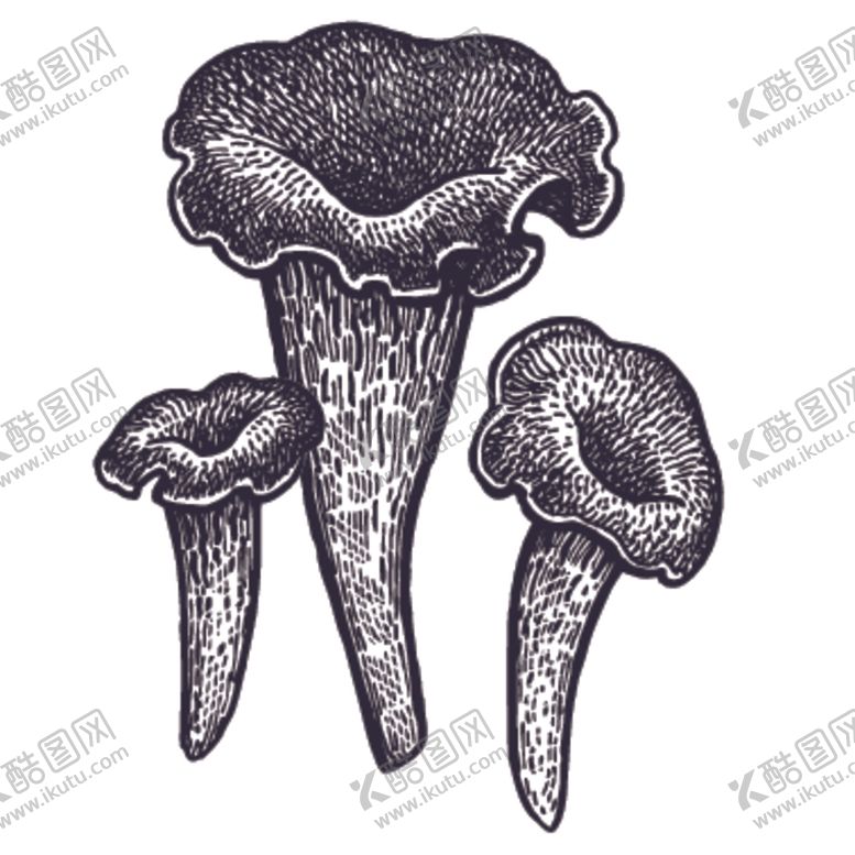 编号：12499006252309213771【酷图网】源文件下载-餐饮食物插画元素