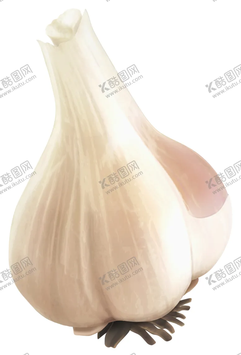 编号：65724402030020085062【酷图网】源文件下载-大蒜